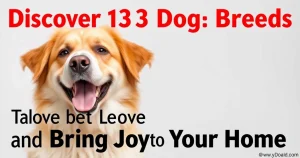 Discover 13 Dog Breeds That Love to Sing and Bring Joy to Your Home