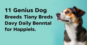 11 Genius Dog Breeds That Crave Daily Mental Stimulation for Happiness
